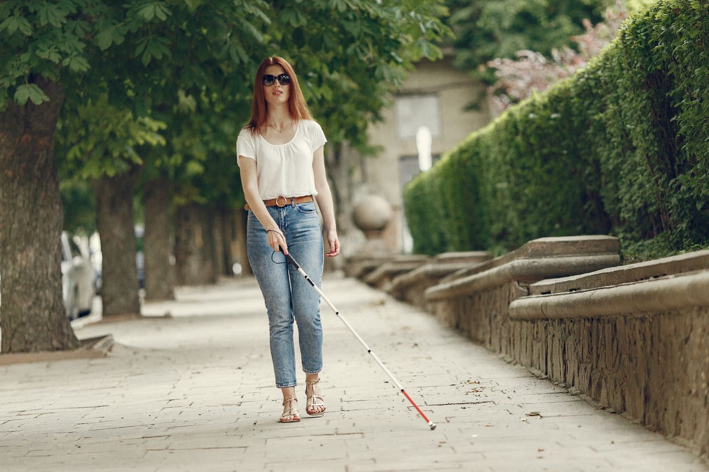 Một người sử dụng gậy trắng đang đi trên lối đi nhiều cây xanh